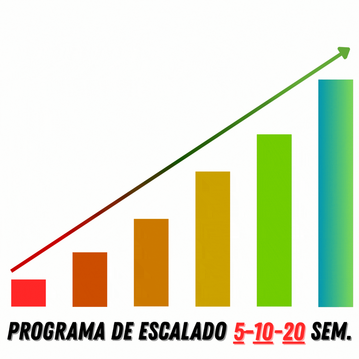 Programa de escalado